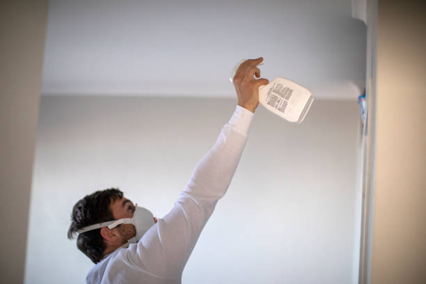 Best Commercial Mold Remediation in Mckinney, TX