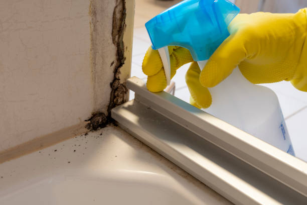 Best Crawl Space Mold Remediation in Mckinney, TX
