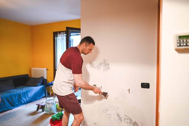Best HVAC Mold Remediation in Mckinney, TX